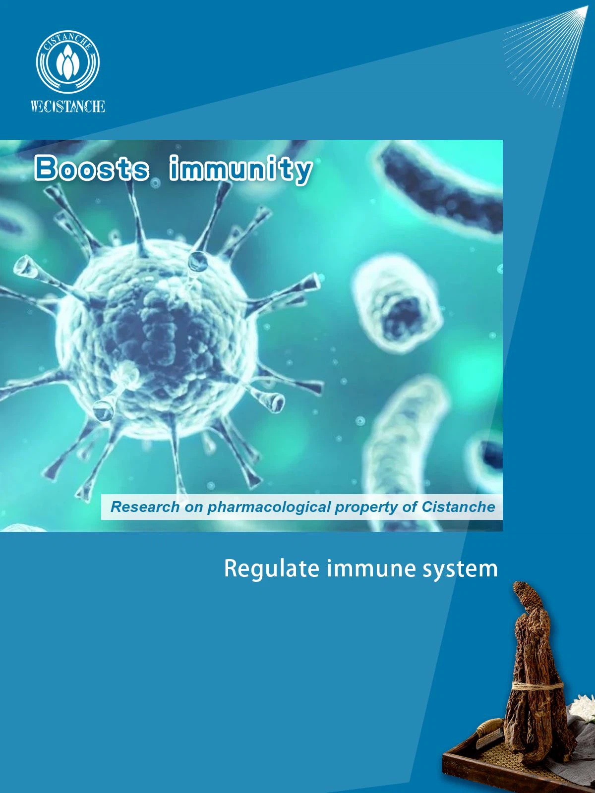 Improve immunity Improve immunity