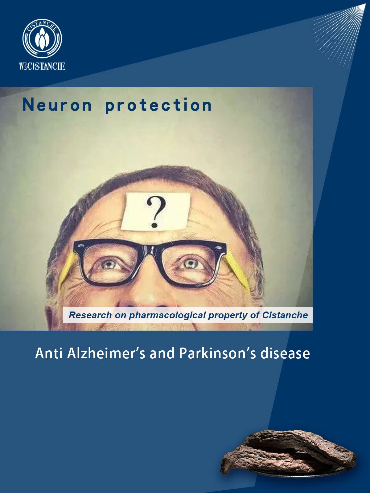 anti alzheimer's anti alzheimer's