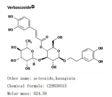 acteoside from cistanche acteoside from cistanche