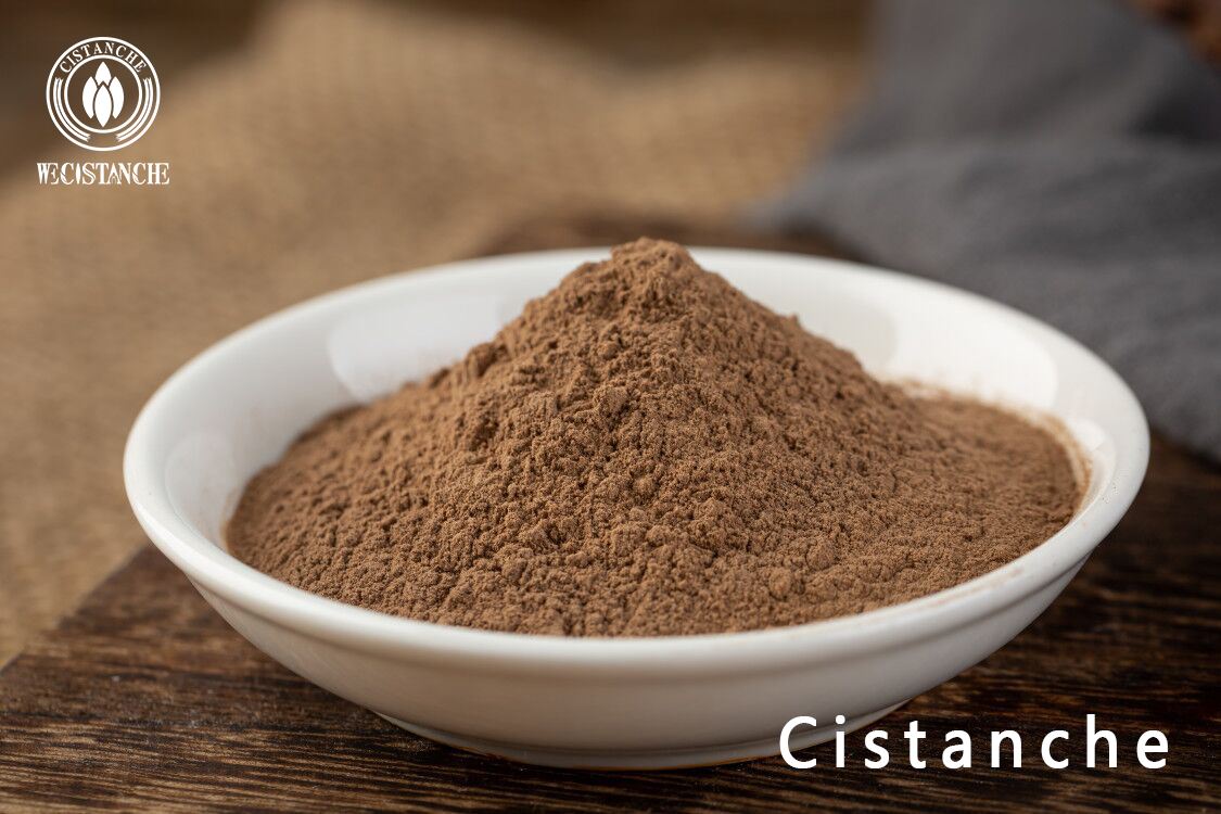 Cistanche extract