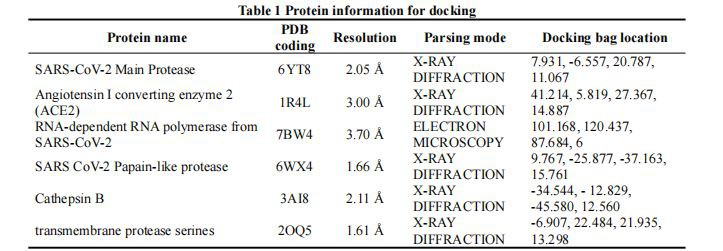 Protein information for docking