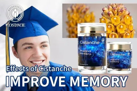 Cistanche-improve memory4