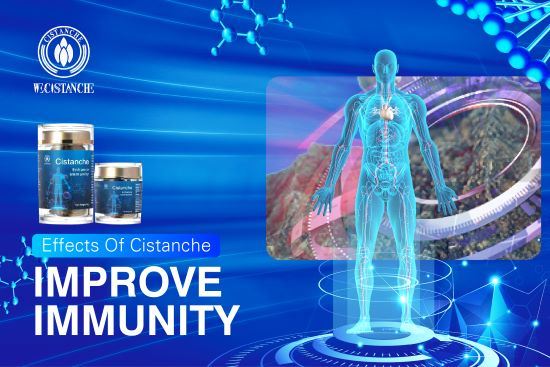 Cistanche enhances immunity.