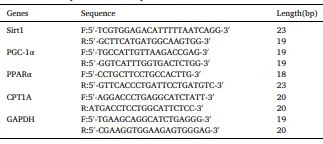 Table 1 RT fluorescence quantitative PCR primers. Table 1 RT fluorescence quantitative PCR primers.