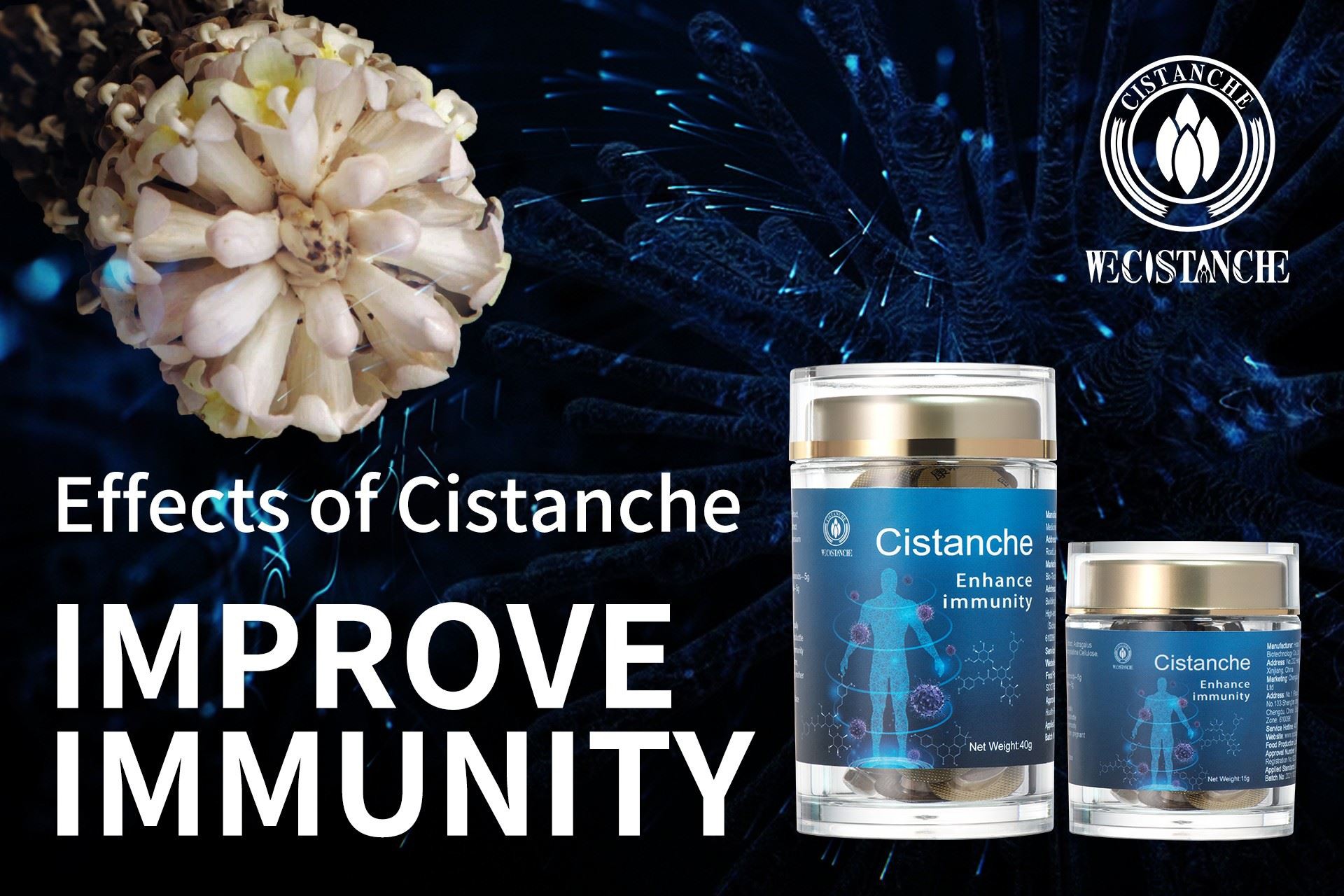 how to improve immunity