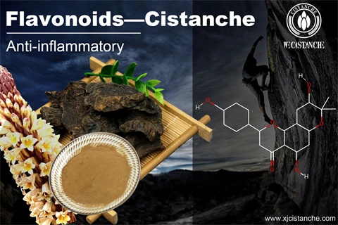 flavonoids supplement anti-inflammatory flavonoids supplement anti-inflammatory