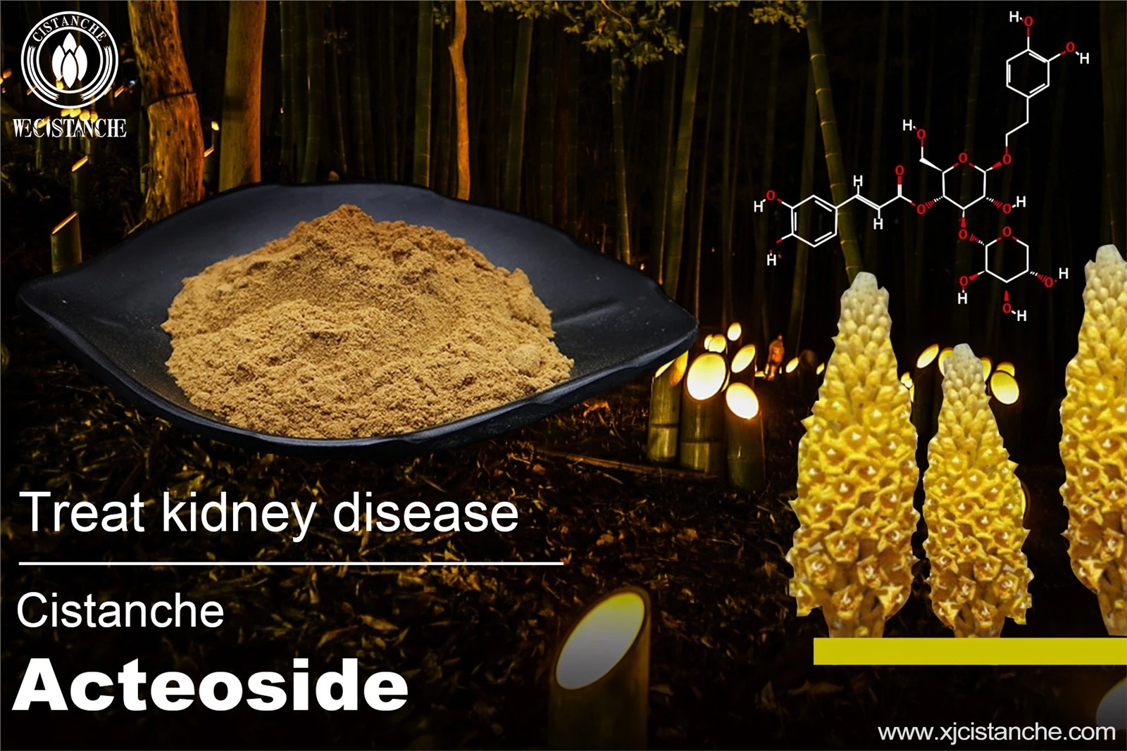 best kidney supplement best kidney supplement