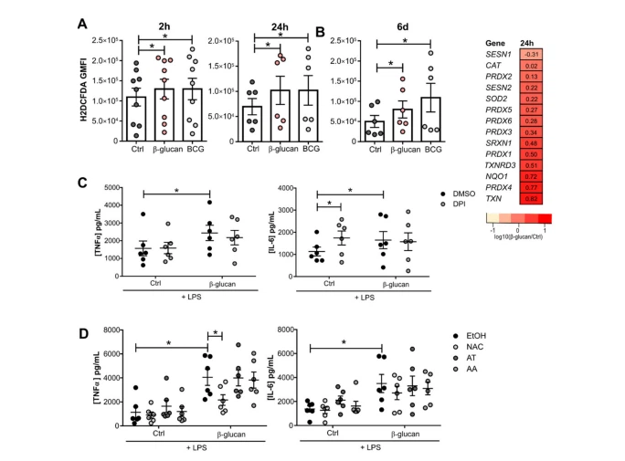cistanche and tongkat ali