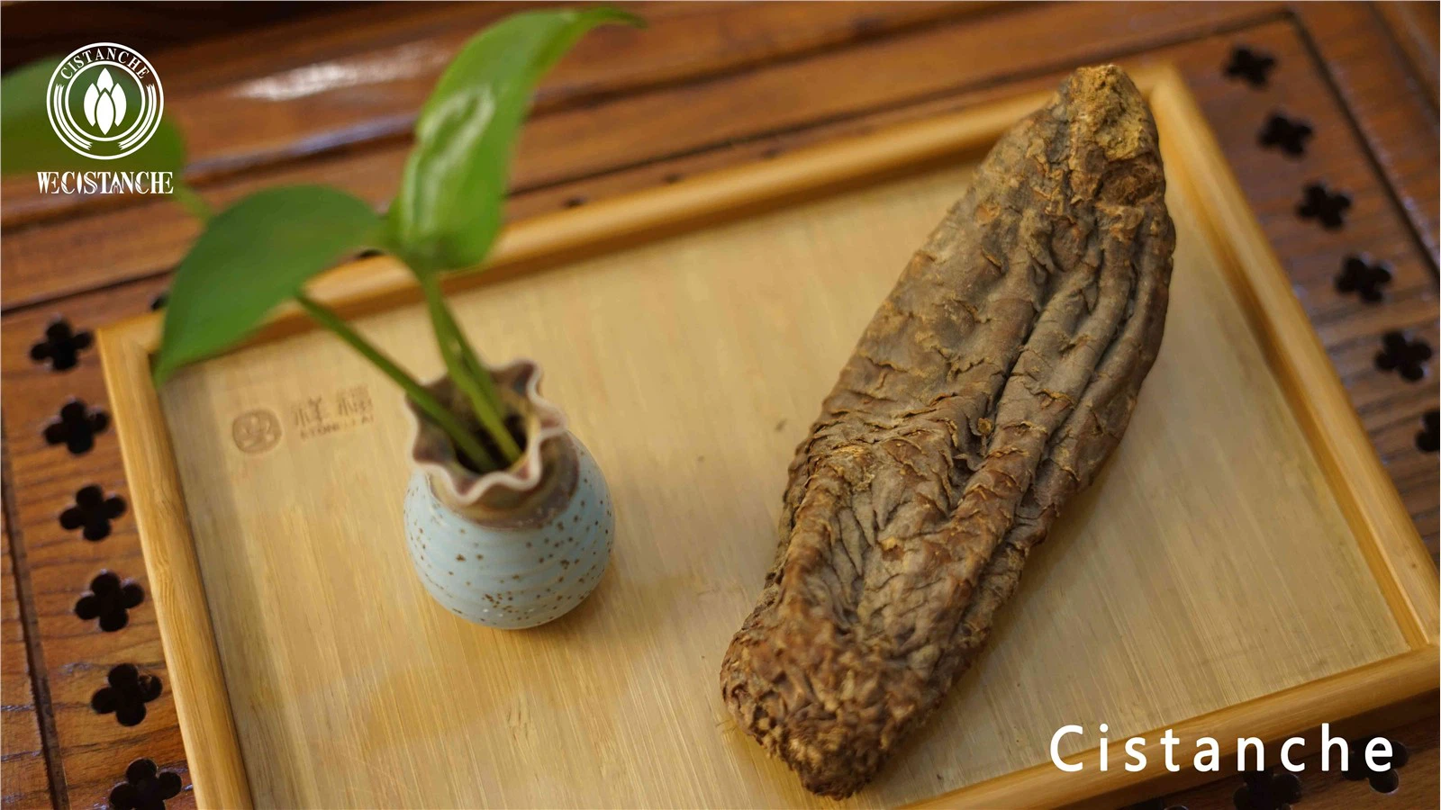 herba cistanches side effects