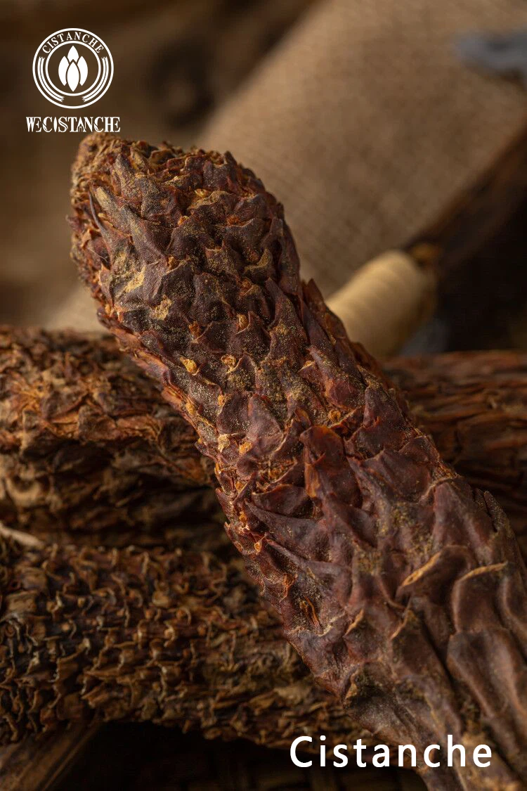 cistanche tubulosa extract powder