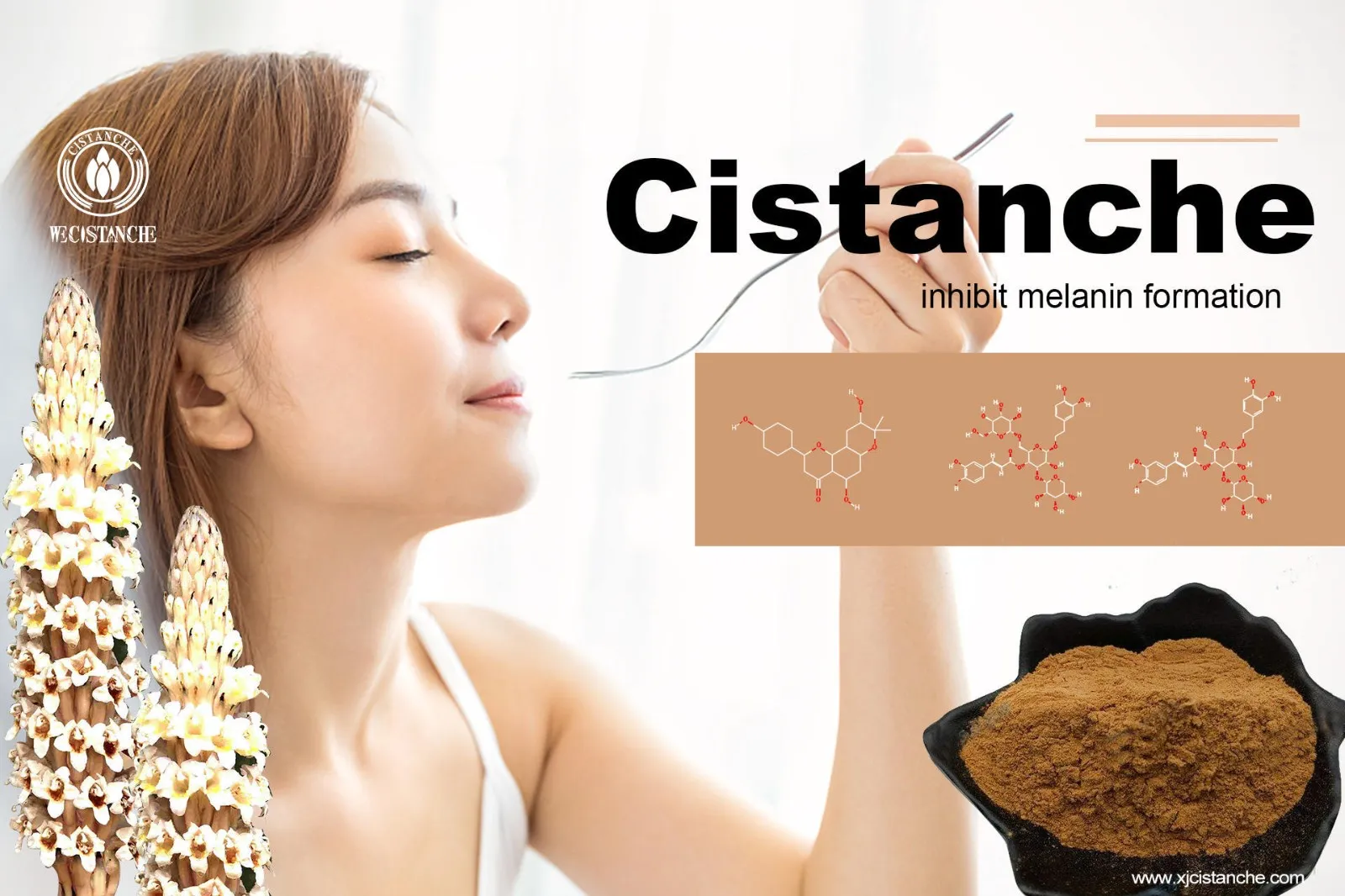 cistanche chemist warehouse cistanche chemist warehouse