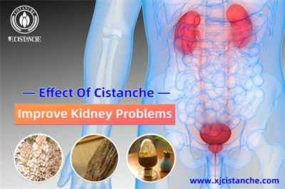 Cistanche benefits Cistanche benefits
