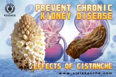 Cistanche benefits 