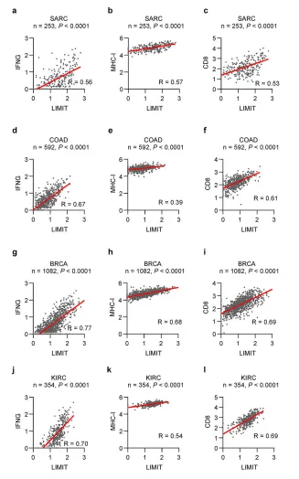 Extended Data Fig. 1:   LIMIT correlates to effector immune genes across multiple cancer types.