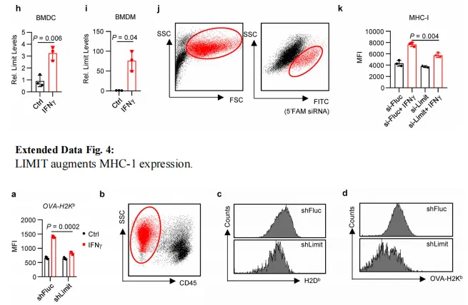 1693882364789 Extended Data Fig. 5:   LIMIT augments antigen-loaded MHC-1 expression in vivo.