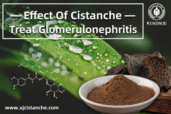 25% echinacoside 9% acteoside cistanche 