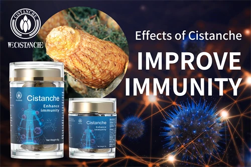 cistanche tubulosa for improving immunity