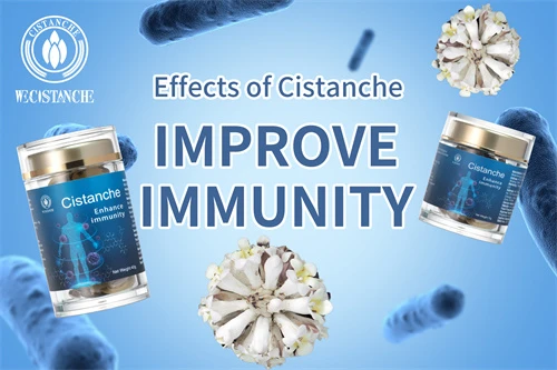 cistanche tubulosa for improving immunity
