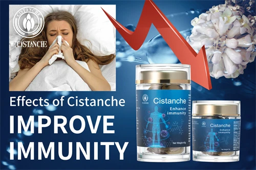 cistanche tubulosa for improving immunity