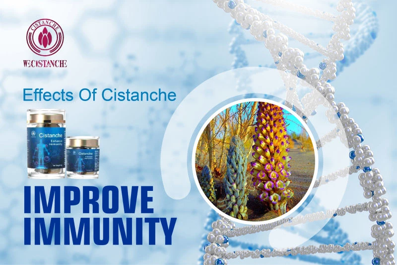 cistanche tubulosa for improving immunity