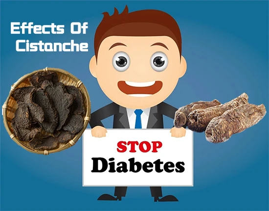 Effects Of Cistanche Effects Of Cistanche