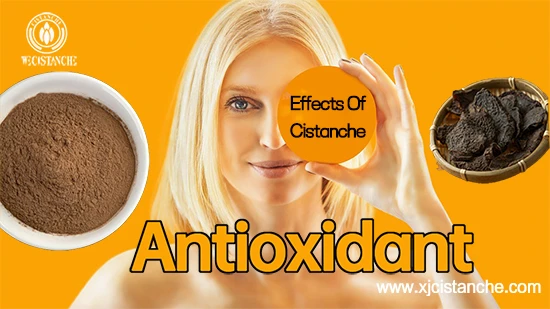 Desert living cistanche-Antioxidant