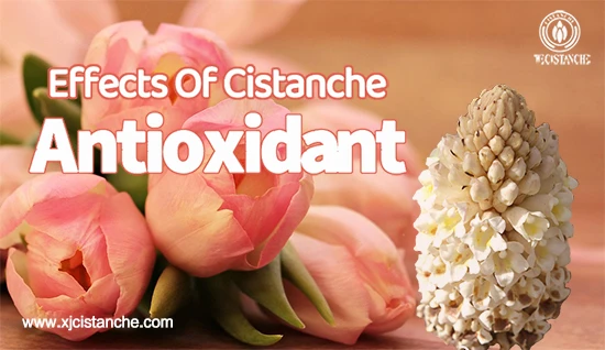 Benefits of cistanche tubulosa-Antioxidant