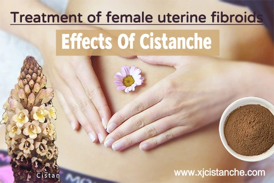 Effects of cistanche-Treatment of climacteric syndrome2