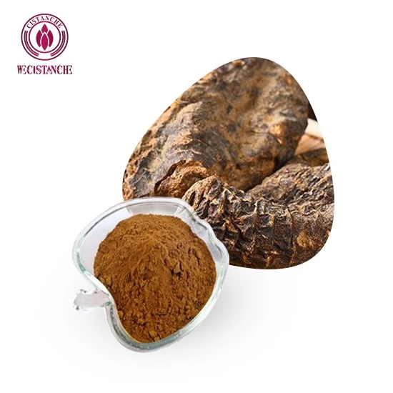 Cistanche Deserticola þykkni