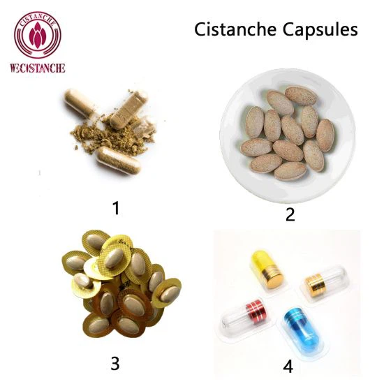 cistanche capsules cistanche capsules