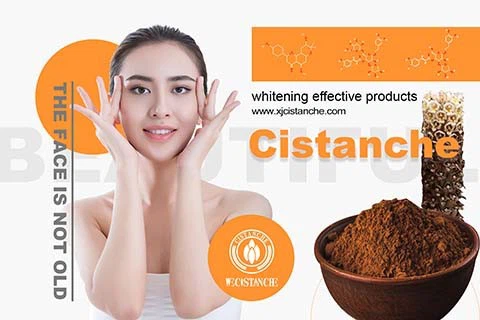 Skincare Cistanche 24 Skincare Cistanche 24